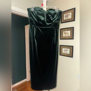 Express Green Strapless Velour Velvet Dress
